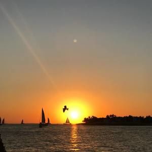 Meet your Posher, Kellie